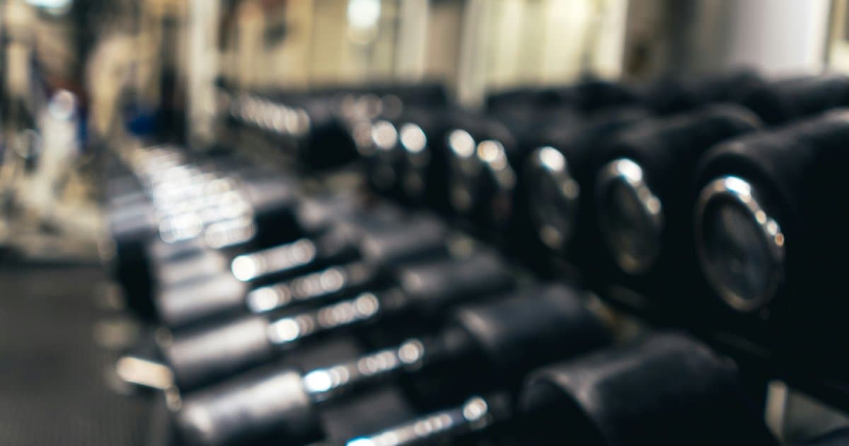 A row of dumbbells on a rack in a gym