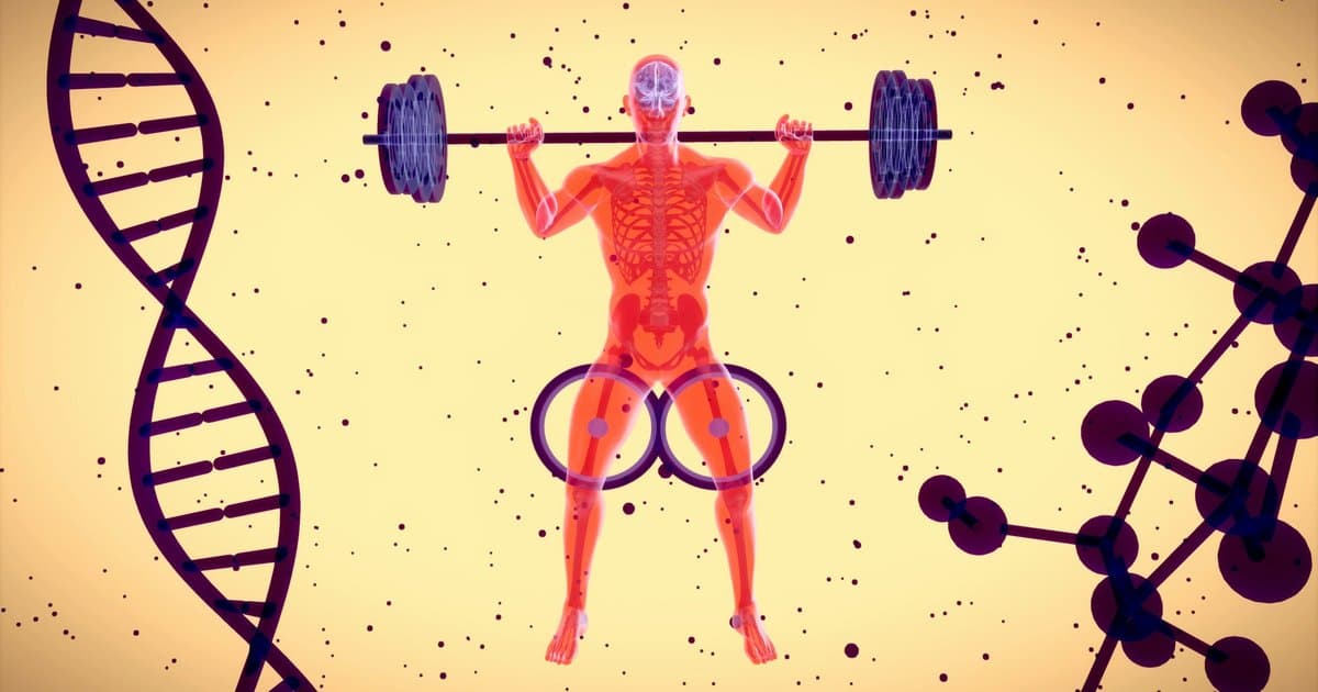 What's a Good 1-Rep Max, and Should You Even Test It as a Beginner?