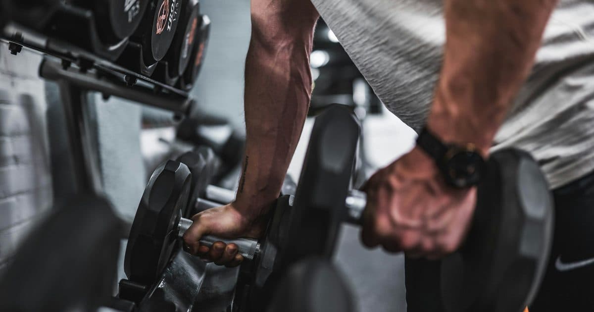Why Does the Generator Give Beginners Fewer Sets Than Advanced Lifters?